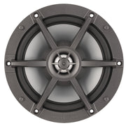 Polk 10