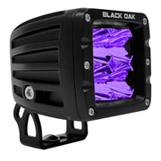 Black Oak 2