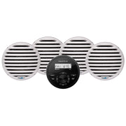 Aquatic AV GS2 Gauge Stereo  2 Pairs of EC651 6.5